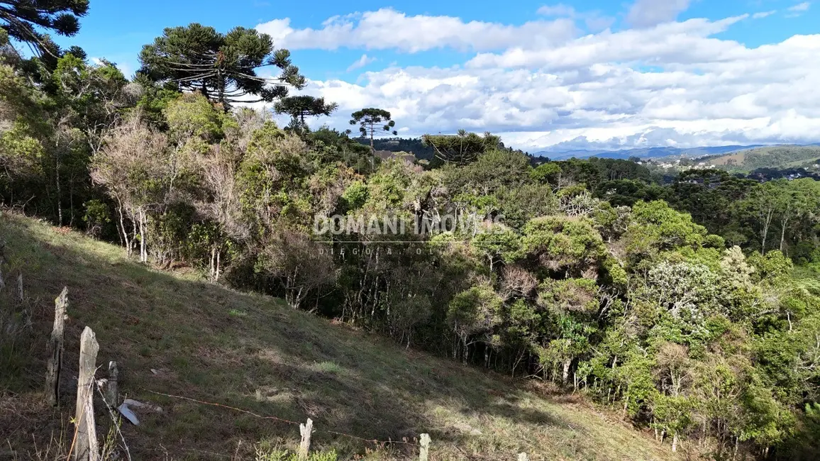 Foto 4 de Terreno / Lote à venda, 1245m2 em Campos Do Jordao - SP