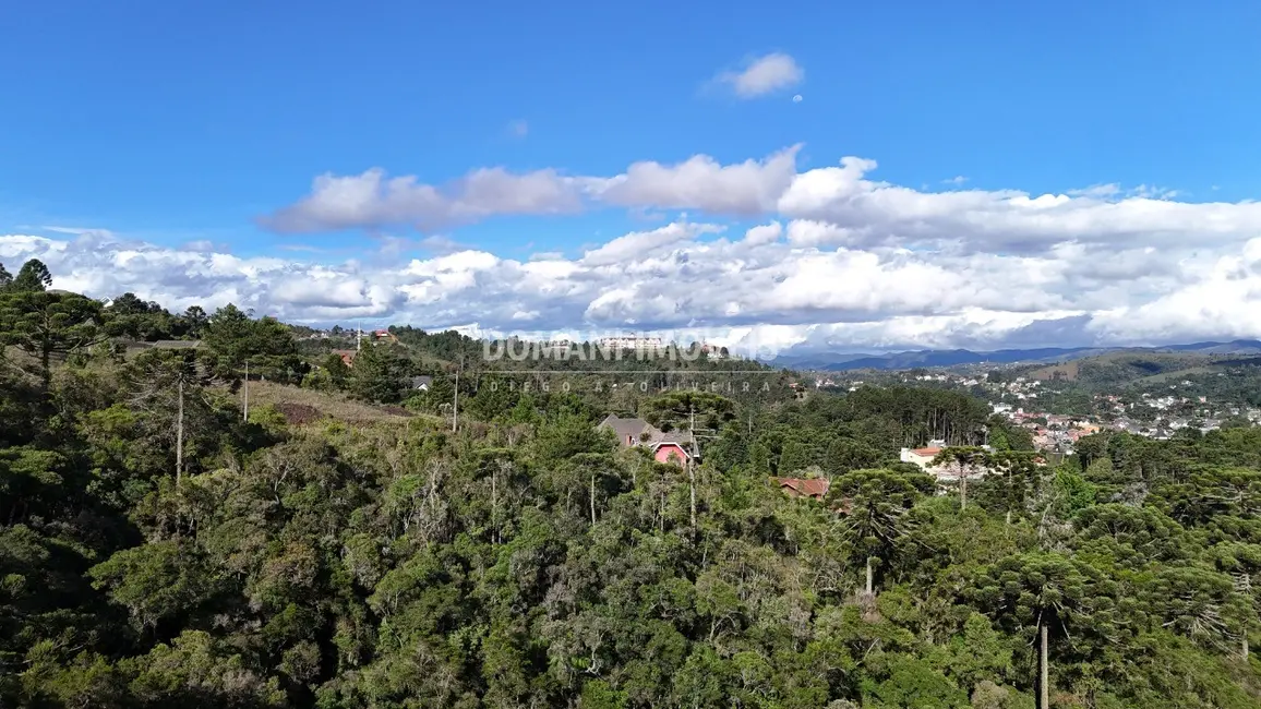 Foto 5 de Terreno / Lote à venda, 1245m2 em Campos Do Jordao - SP
