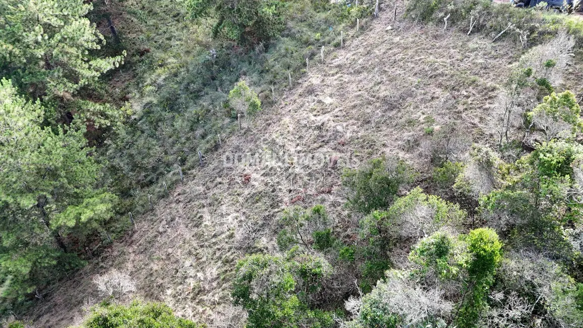 Foto 6 de Terreno / Lote à venda, 1245m2 em Campos Do Jordao - SP