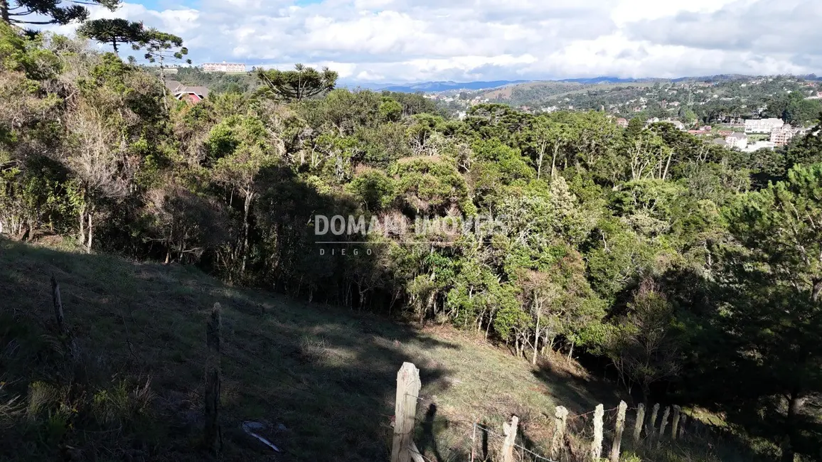 Foto 7 de Terreno / Lote à venda, 1245m2 em Campos Do Jordao - SP