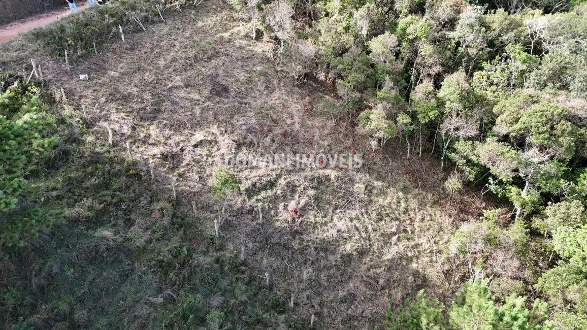 Foto 3 de Terreno / Lote à venda, 1245m2 em Campos Do Jordao - SP