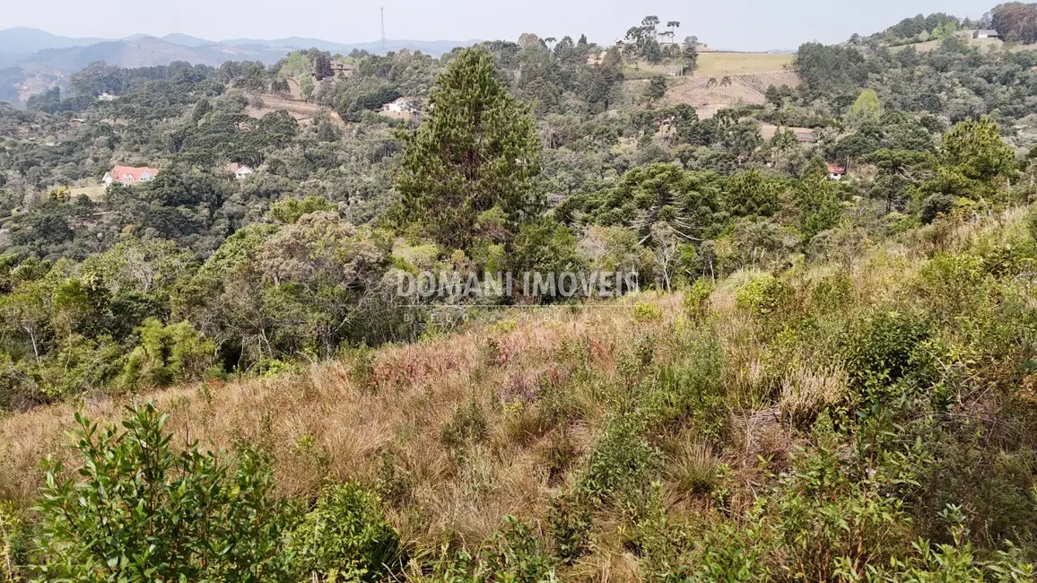 Foto 4 de Terreno / Lote à venda, 8480m2 em Campos Do Jordao - SP