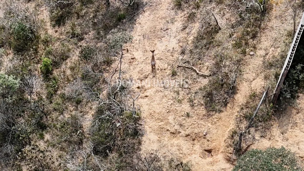 Foto 5 de Terreno / Lote à venda, 8480m2 em Campos Do Jordao - SP