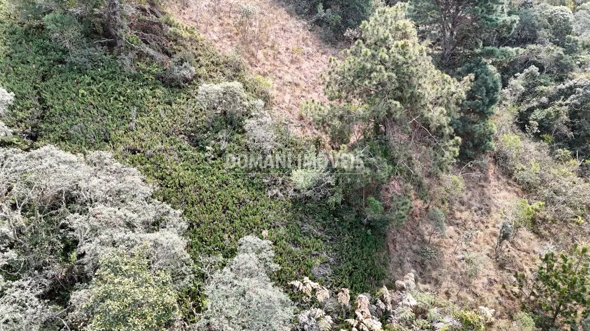 Foto 2 de Terreno / Lote à venda, 8480m2 em Campos Do Jordao - SP