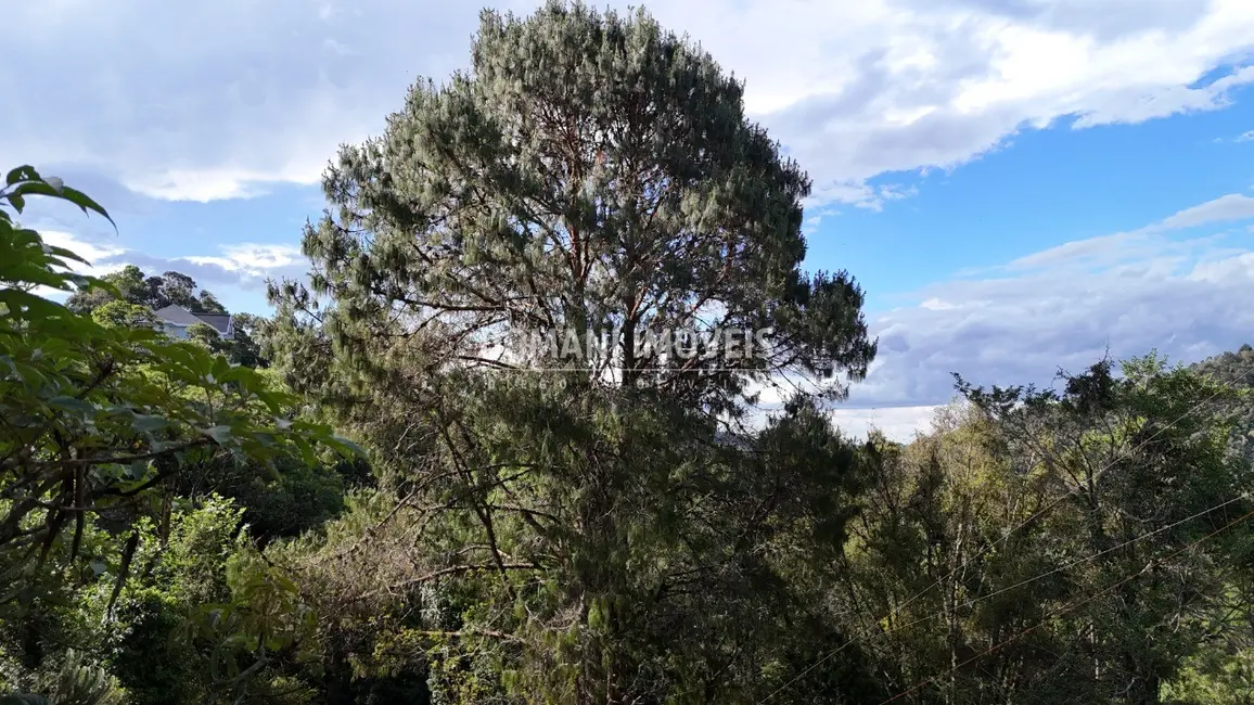 Foto 6 de Casa com 3 quartos à venda, 272m2 em Campos Do Jordao - SP