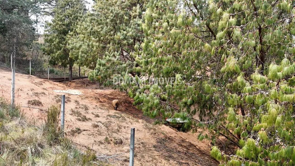Foto 5 de Casa de Condomínio com 6 quartos à venda, 518m2 em Campos Do Jordao - SP