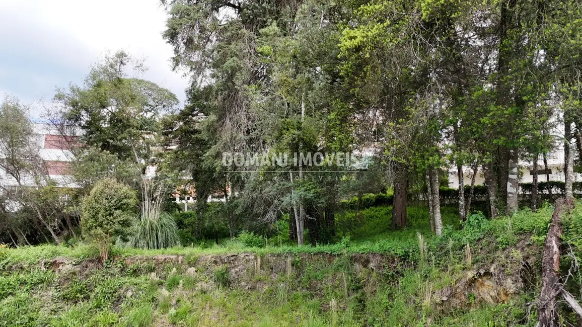 Foto 9 de Terreno / Lote à venda, 2540m2 em Campos Do Jordao - SP