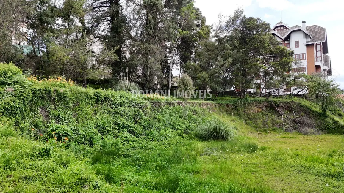 Foto 3 de Terreno / Lote à venda, 2540m2 em Campos Do Jordao - SP