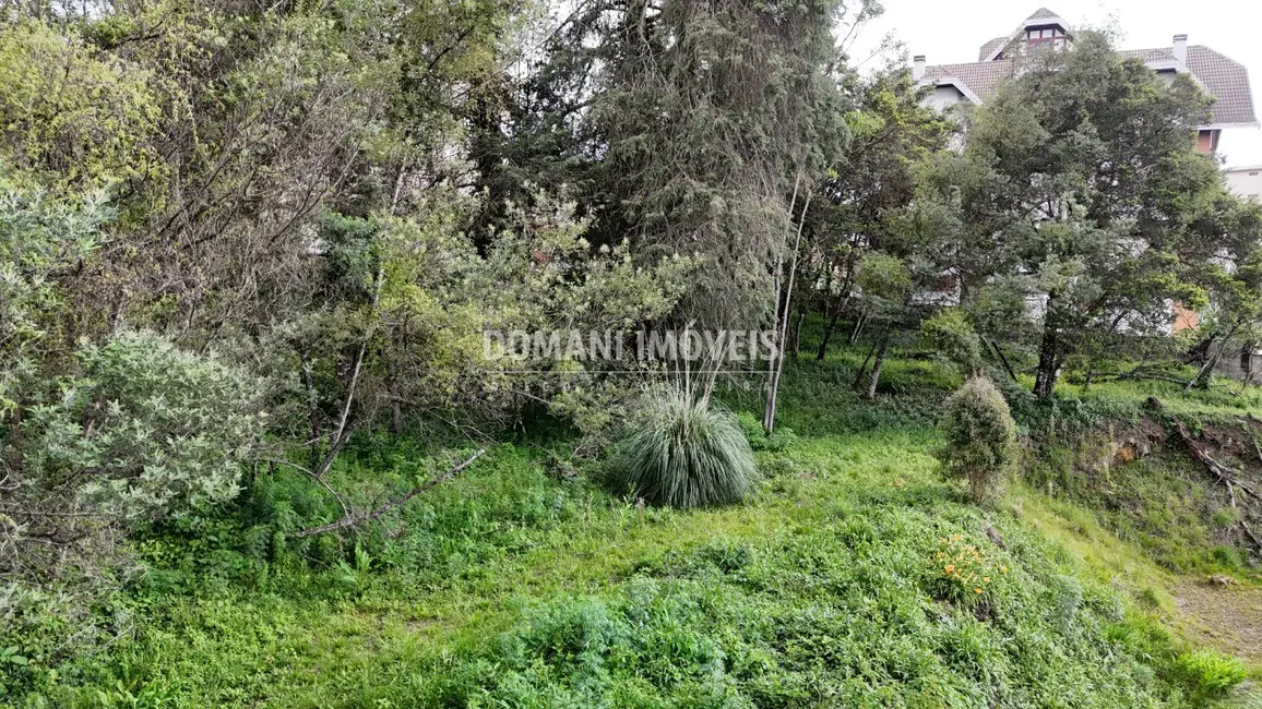 Foto 6 de Terreno / Lote à venda, 2540m2 em Campos Do Jordao - SP