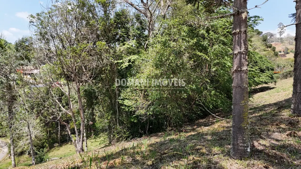 Foto 6 de Terreno / Lote à venda, 1215m2 em Santo Antonio Do Pinhal - SP