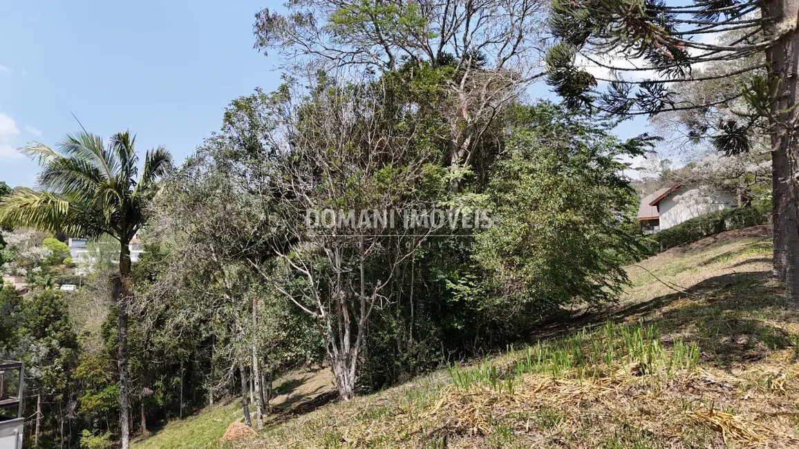 Foto 7 de Terreno / Lote à venda, 1215m2 em Santo Antonio Do Pinhal - SP