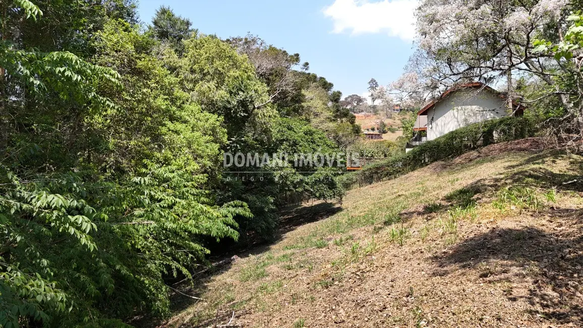 Foto 8 de Terreno / Lote à venda, 1215m2 em Santo Antonio Do Pinhal - SP