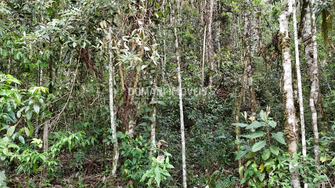 Foto 6 de Terreno / Lote à venda, 1030m2 em Campos Do Jordao - SP