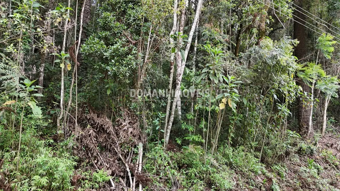 Foto 5 de Terreno / Lote à venda, 1030m2 em Campos Do Jordao - SP