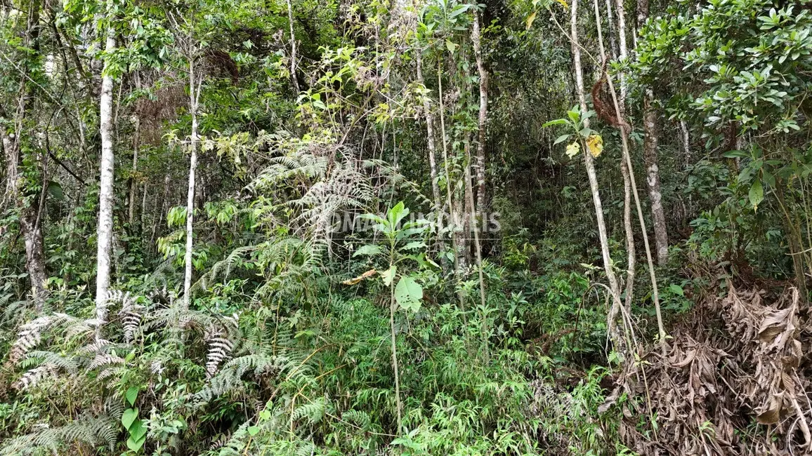 Foto 1 de Terreno / Lote à venda, 1030m2 em Campos Do Jordao - SP