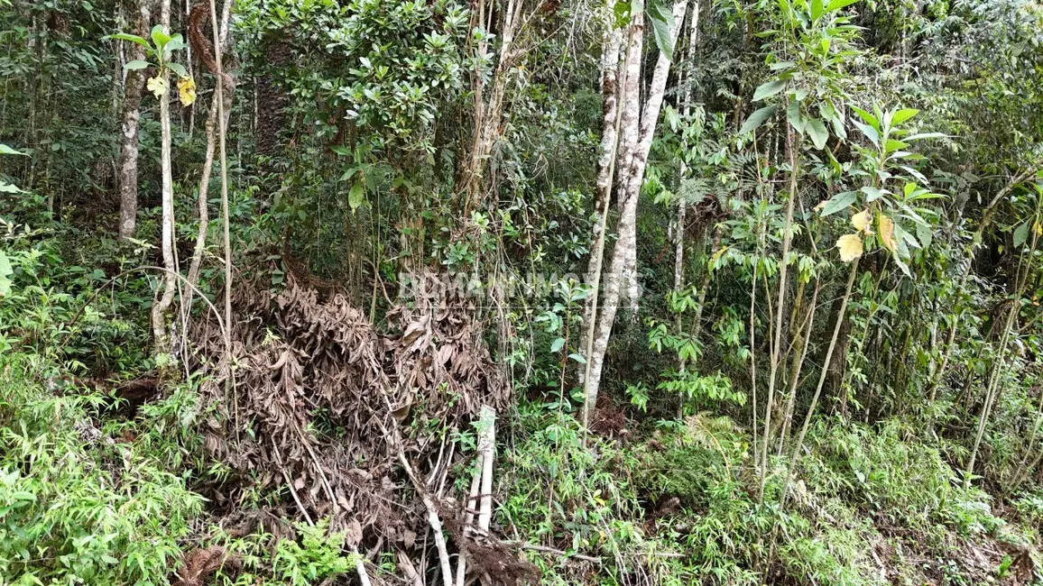 Foto 8 de Terreno / Lote à venda, 1030m2 em Campos Do Jordao - SP