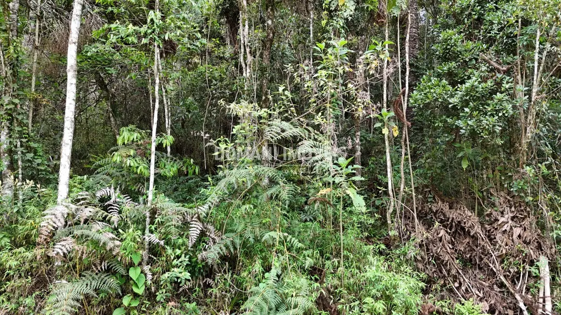 Foto 7 de Terreno / Lote à venda, 1030m2 em Campos Do Jordao - SP