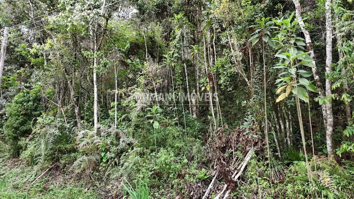 Foto 3 de Terreno / Lote à venda, 1030m2 em Campos Do Jordao - SP