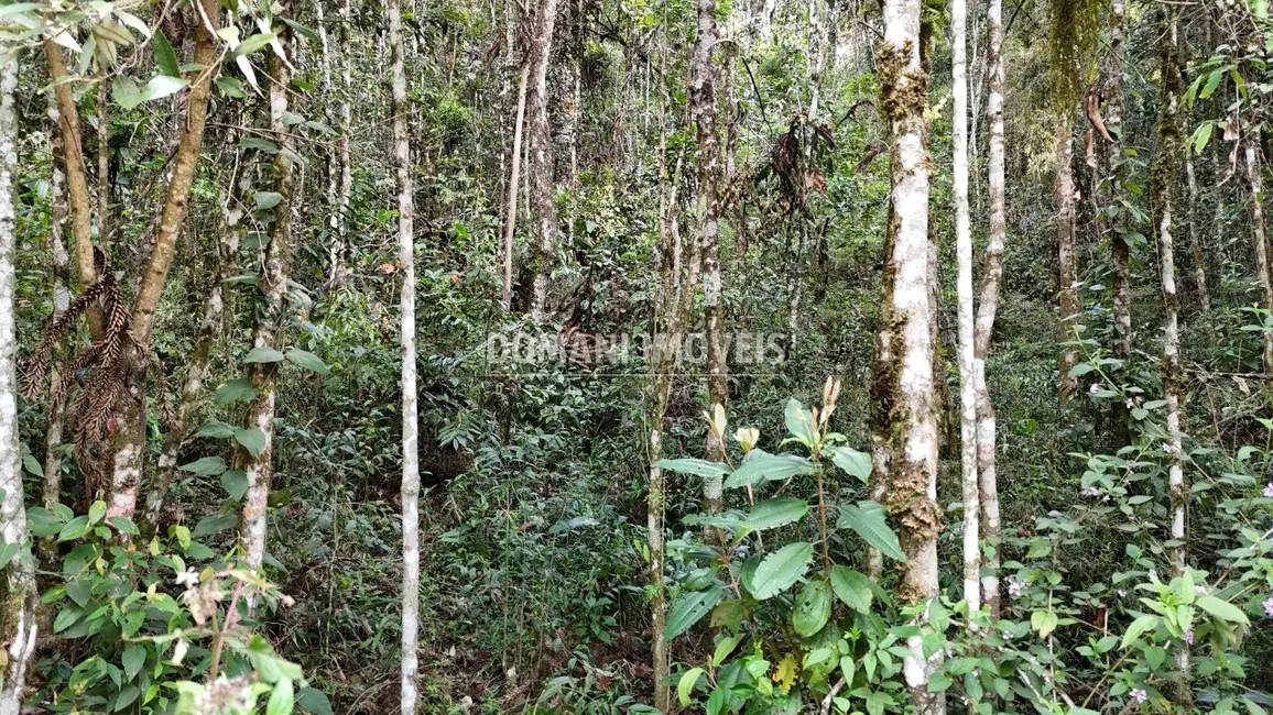Foto 2 de Terreno / Lote à venda, 1030m2 em Campos Do Jordao - SP