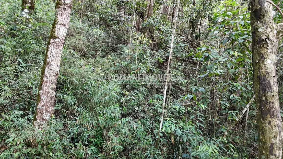 Foto 8 de Terreno / Lote à venda, 1040m2 em Campos Do Jordao - SP