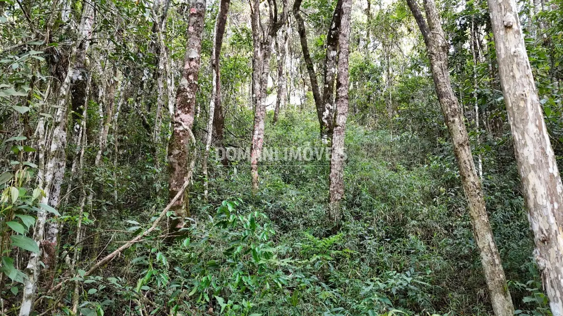 Foto 2 de Terreno / Lote à venda, 1040m2 em Campos Do Jordao - SP