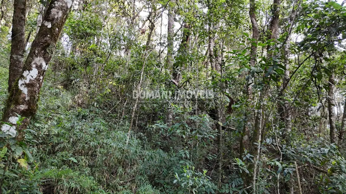 Foto 1 de Terreno / Lote à venda, 1040m2 em Campos Do Jordao - SP