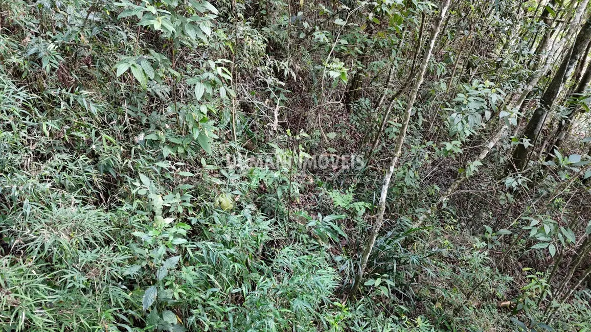 Foto 5 de Terreno / Lote à venda, 1040m2 em Campos Do Jordao - SP