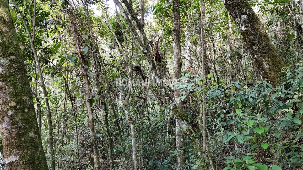 Foto 4 de Terreno / Lote à venda, 1040m2 em Campos Do Jordao - SP