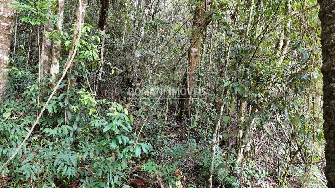 Foto 6 de Terreno / Lote à venda, 1040m2 em Campos Do Jordao - SP