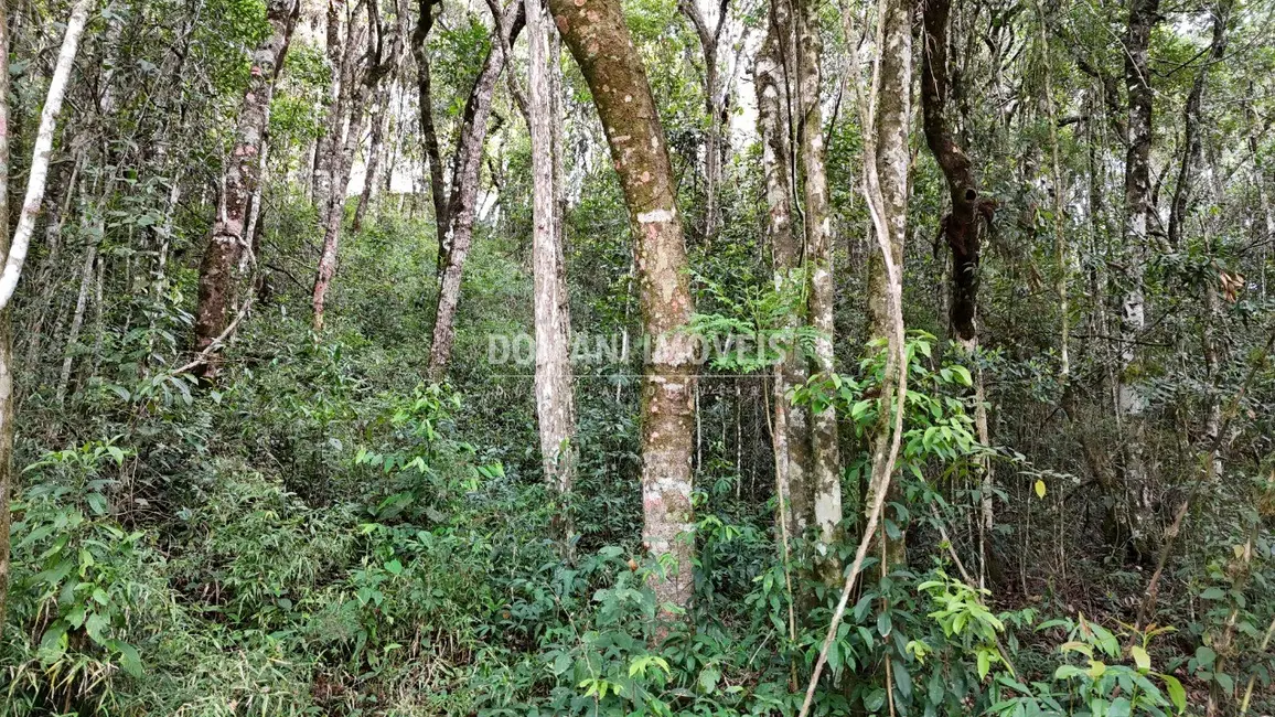 Foto 9 de Terreno / Lote à venda, 1040m2 em Campos Do Jordao - SP