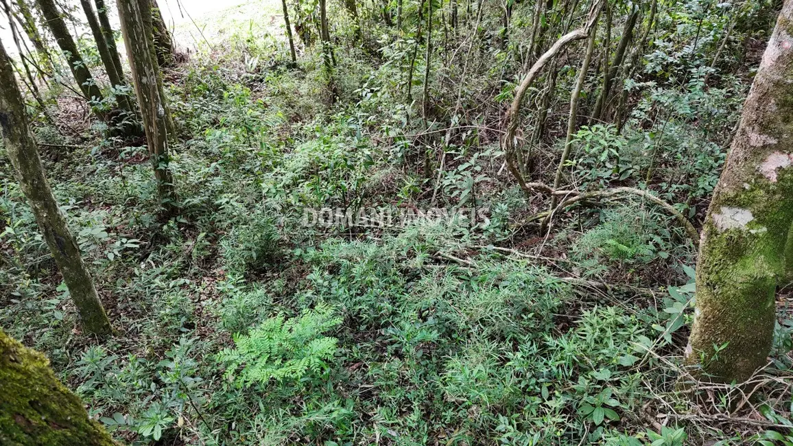 Foto 3 de Terreno / Lote à venda, 1040m2 em Campos Do Jordao - SP