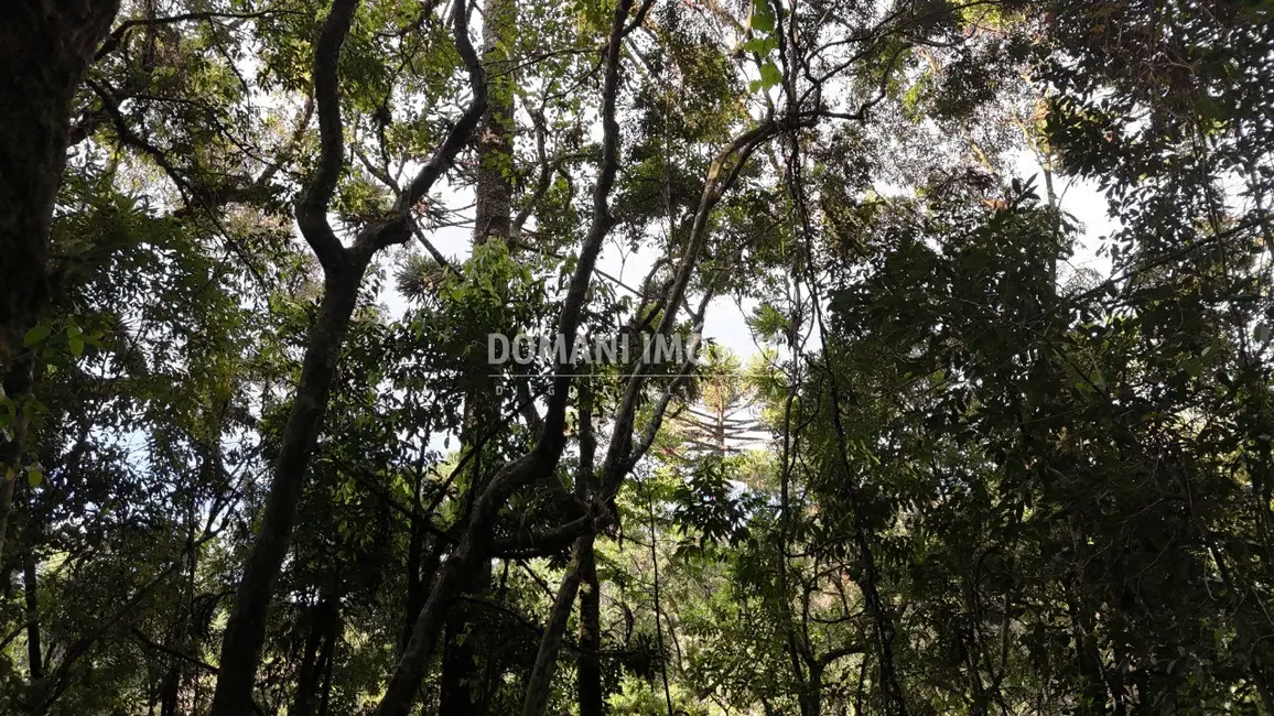 Foto 7 de Terreno / Lote à venda, 1040m2 em Campos Do Jordao - SP