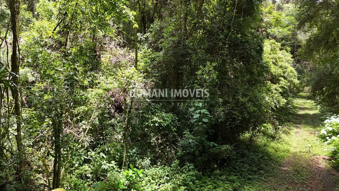 Foto 8 de Terreno / Lote à venda, 10260m2 em Campos Do Jordao - SP
