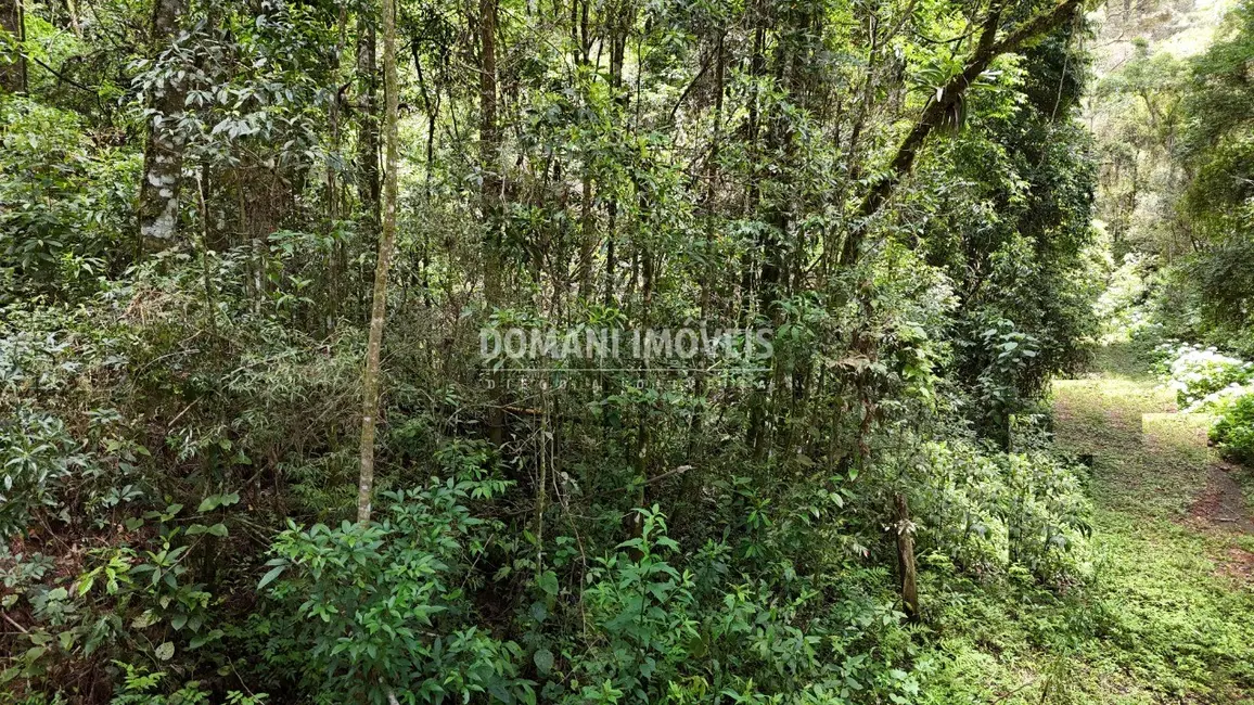 Foto 6 de Terreno / Lote à venda, 10260m2 em Campos Do Jordao - SP