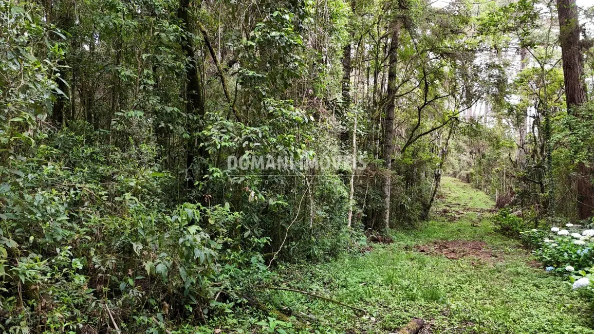 Foto 2 de Terreno / Lote à venda, 10260m2 em Campos Do Jordao - SP
