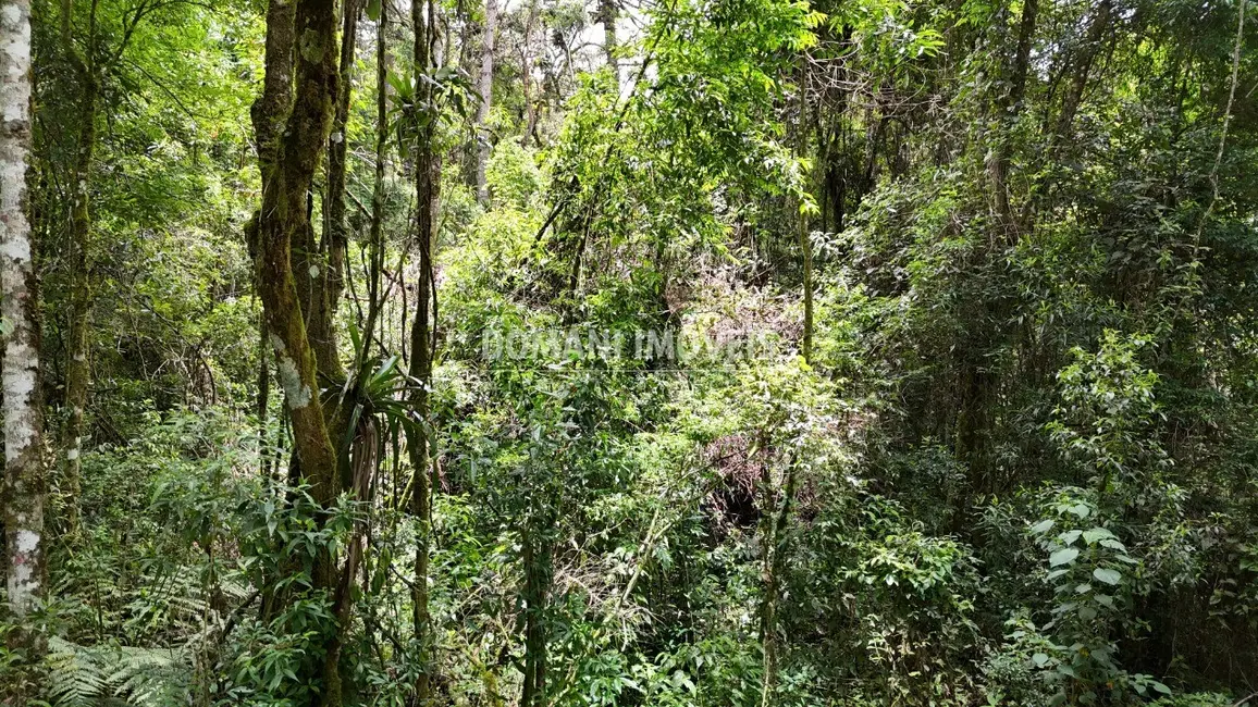 Foto 7 de Terreno / Lote à venda, 10260m2 em Campos Do Jordao - SP