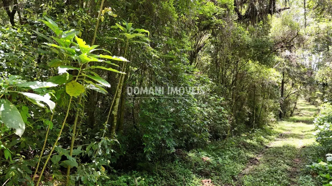 Foto 4 de Terreno / Lote à venda, 10260m2 em Campos Do Jordao - SP