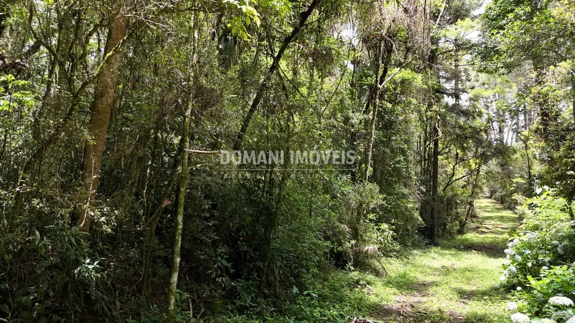 Foto 9 de Terreno / Lote à venda, 10260m2 em Campos Do Jordao - SP