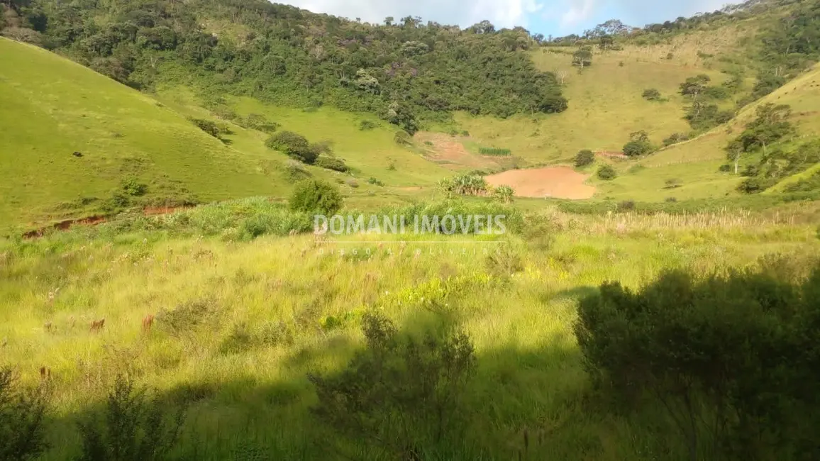 Foto 7 de Sítio / Rancho com 4 quartos à venda, 360m2 em Itajuba - MG