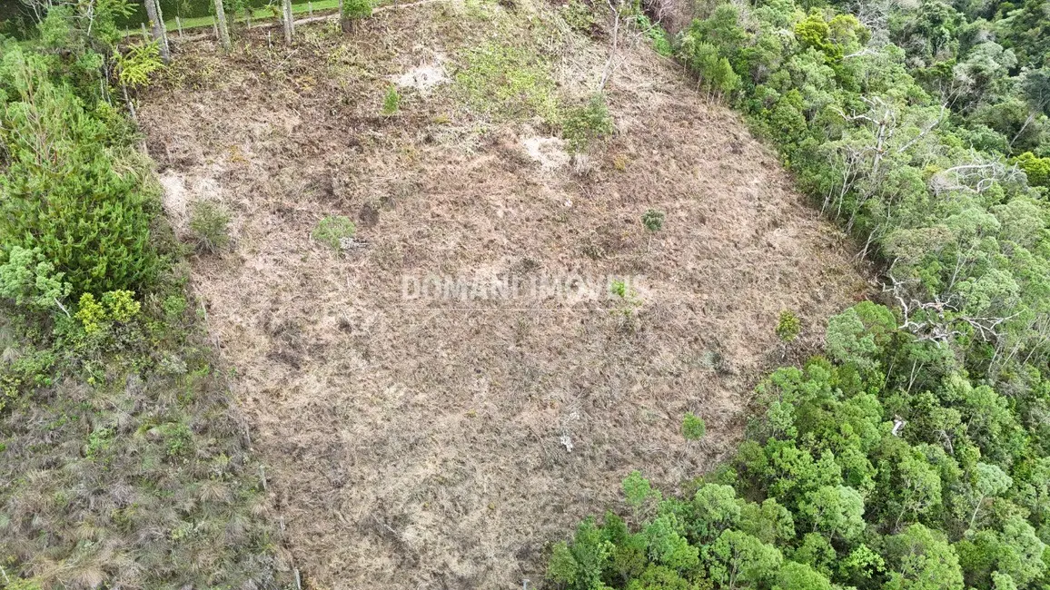 Terreno / Lote à venda, 1060m2 em Campos Do Jordao - SP - imagem 9 Foto 9 de Terreno / Lote à venda, 1060m2 em Campos Do Jordao - SP