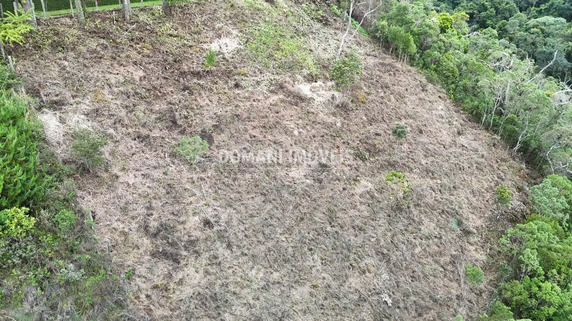 Terreno / Lote à venda, 1060m2 em Campos Do Jordao - SP - imagem 6 Foto 6 de Terreno / Lote à venda, 1060m2 em Campos Do Jordao - SP