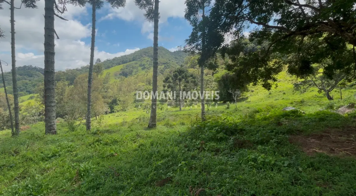 Foto 3 de Terreno / Lote à venda, 65m2 em Campos Do Jordao - SP