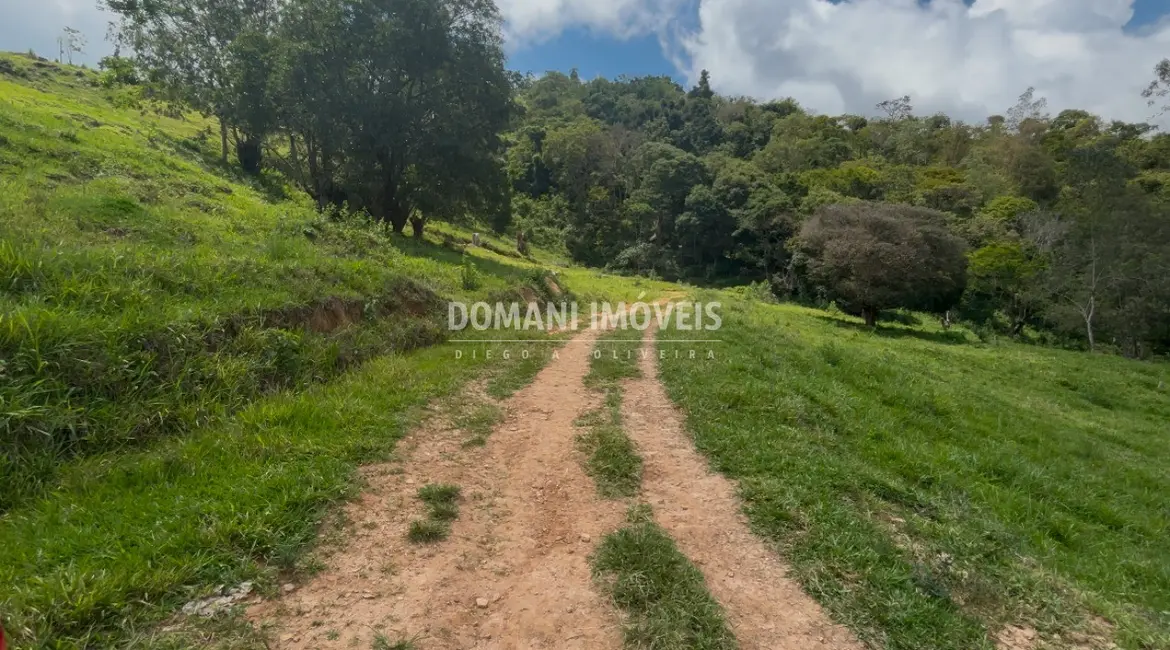 Foto 4 de Terreno / Lote à venda em Campos Do Jordao - SP