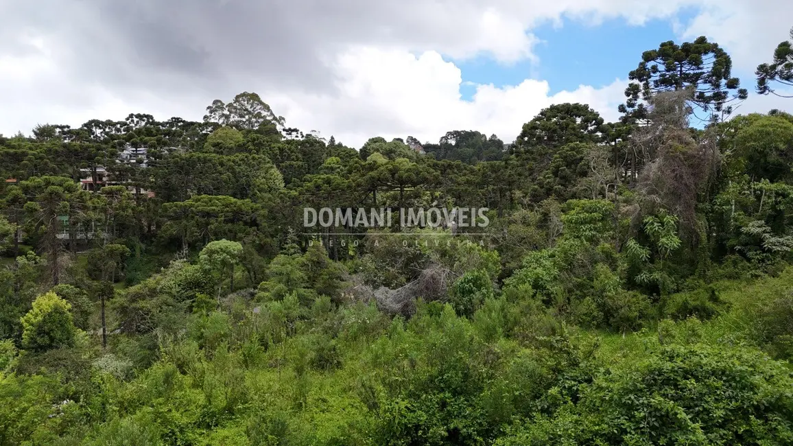 Foto 4 de Terreno / Lote à venda, 1590m2 em Campos Do Jordao - SP