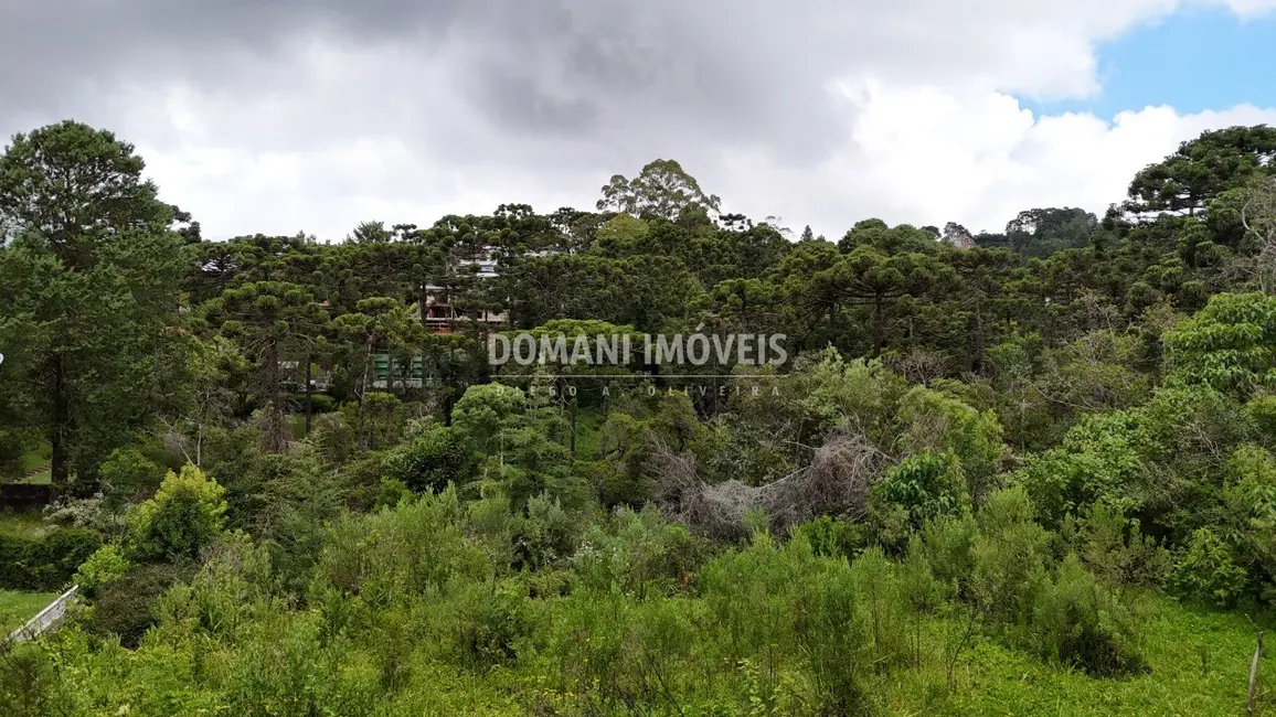 Foto 7 de Terreno / Lote à venda, 1590m2 em Campos Do Jordao - SP