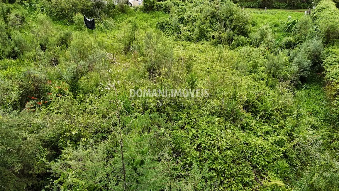 Foto 5 de Terreno / Lote à venda, 1590m2 em Campos Do Jordao - SP