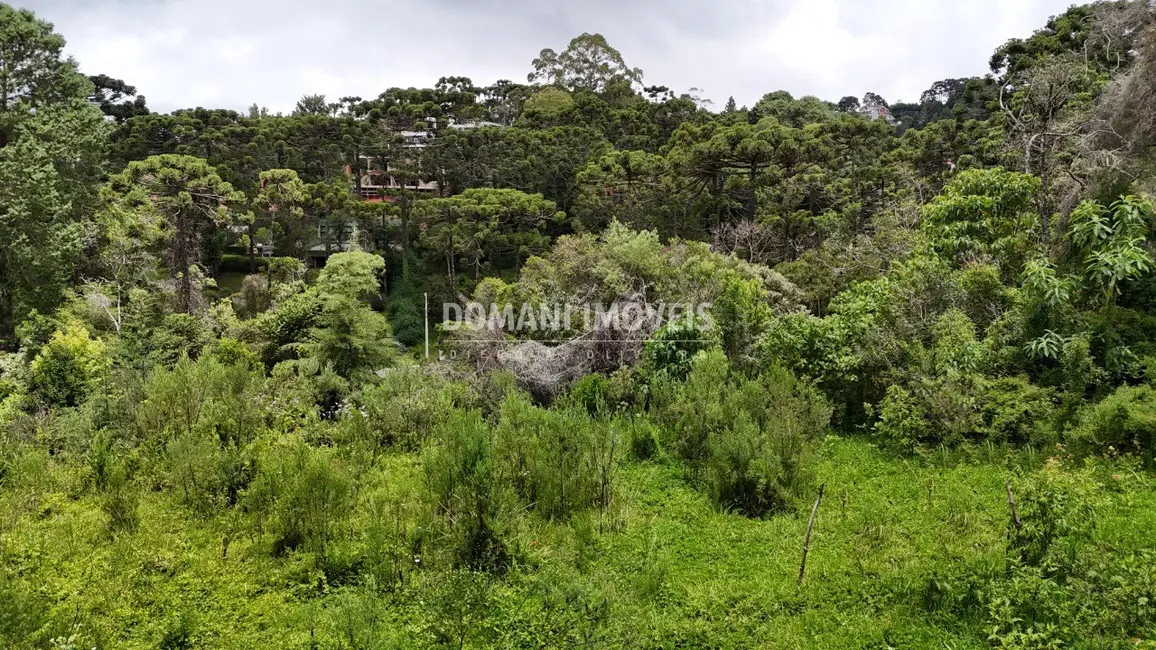 Foto 1 de Terreno / Lote à venda, 1590m2 em Campos Do Jordao - SP