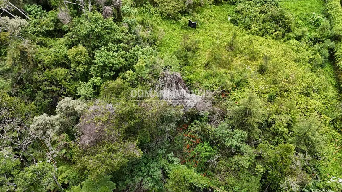 Foto 8 de Terreno / Lote à venda, 1590m2 em Campos Do Jordao - SP