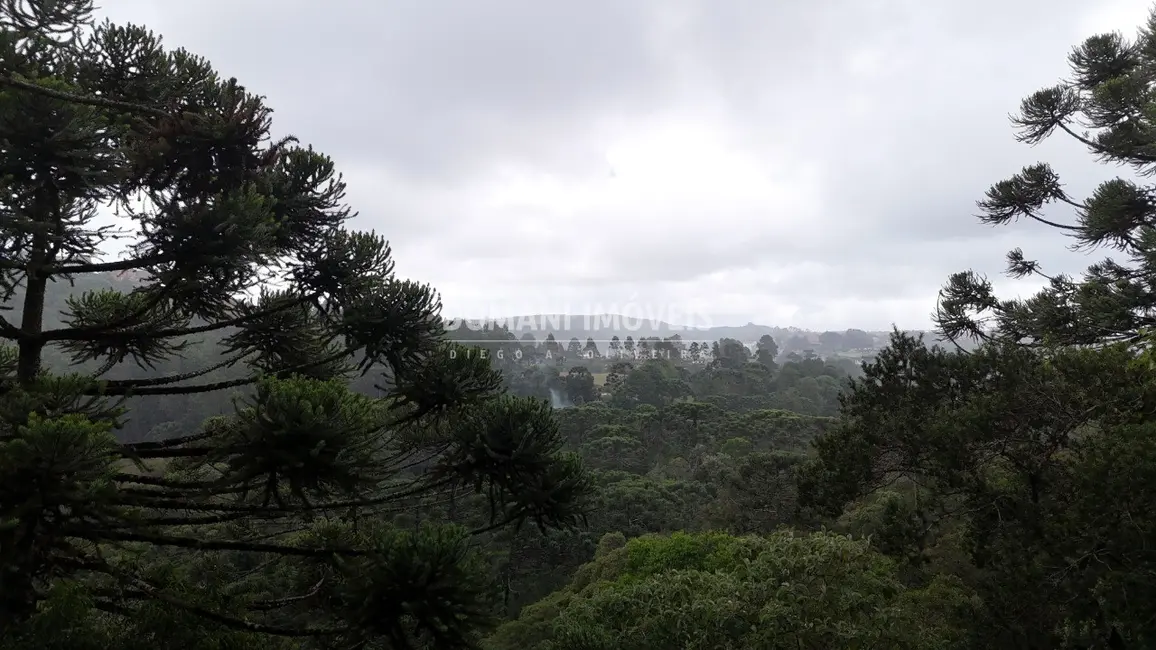 Casa de Condomínio com 3 quartos à venda, 264m2 em Campos Do Jordao - SP - imagem 7 Foto 7 de Casa de Condomínio com 3 quartos à venda, 264m2 em Campos Do Jordao - SP