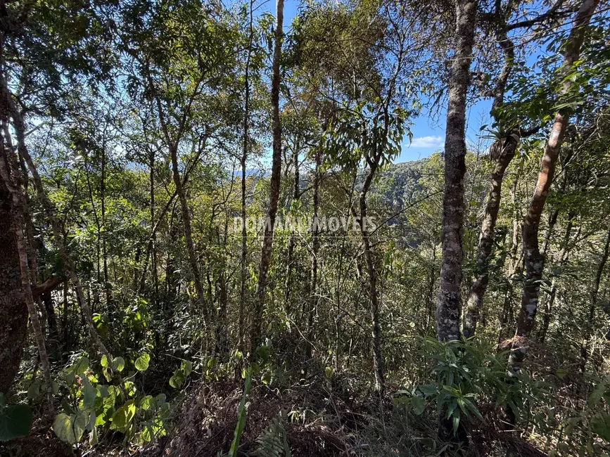 Foto 3 de Terreno / Lote à venda, 1275m2 em Campos Do Jordao - SP